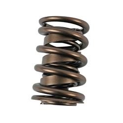 Manley Street Master Valve Springs 22407-16