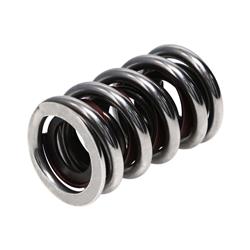 Manley Professional Valve Springs 22431-1