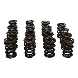 Manley Valve Springs 261454