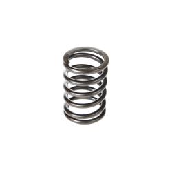 Melling Valve Springs VS-120