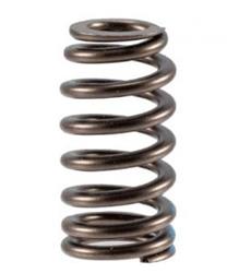 Melling Valve Springs VS-1618
