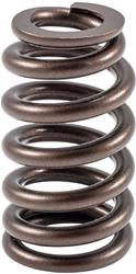Melling Valve Springs VS-2488