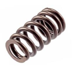 Melling Valve Springs VS-2490