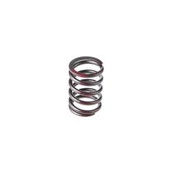 Melling Valve Springs VS-450