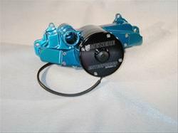 Meziere 100 Series Electric Water Pumps WP119CHD