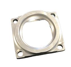 Meziere Enterprises Water Pump, Electric, Port Adapter Flanges WPP0304