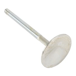 Milodon Megaflow Competition Valves 45005-8