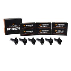 Mishimoto Ignition Coils MMIG-CHGR40-0606