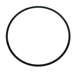 Mahle Oil Ring Support Rails 1979644