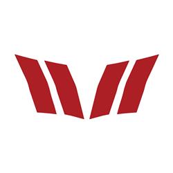 CA Hash Fender Accent Stripes for 2010-2015 CAMARO - 102V02