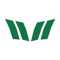 CA Hash Fender Accent Stripes for 2010-2015 CAMARO - 102V09