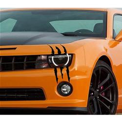 CA Vehicle Graphics, Stripes and Stencils 114V01