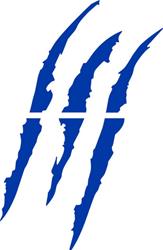 CA Vehicle Graphics, Stripes and Stencils 114V07