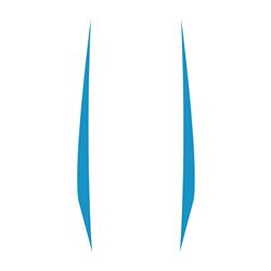 CA Vehicle Graphics, Stripes and Stencils 202610