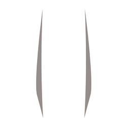 CA Vehicle Graphics, Stripes and Stencils 202611