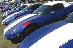 Auto Accessories of America Decals and Stickers 20314