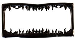Auto Accessories of America License Plate Frames 205294