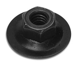 CA Nuts 33600
