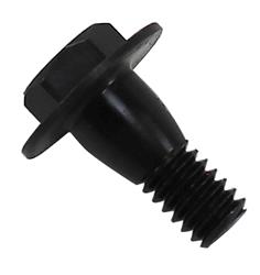 Auto Accessories of America Bolts and Screws 35568