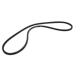 Auto Accessories of America Accessory Belts 36284