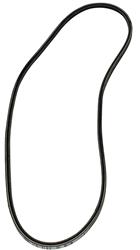 Auto Accessories of America Accessory Belts 36293