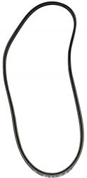 Auto Accessories of America Accessory Belts 36294