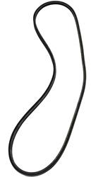 Auto Accessories of America Accessory Belts 36297