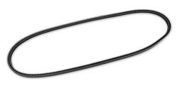 Auto Accessories of America Accessory Belts 36312