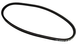 Auto Accessories of America Accessory Belts 36316