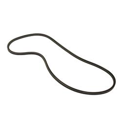Auto Accessories of America Accessory Belts 51586