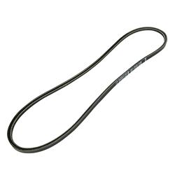 Auto Accessories of America Accessory Belts 51611