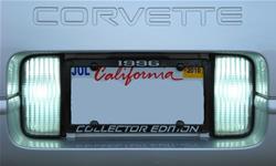 CA Light Bulbs 74727