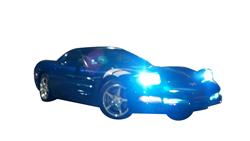 CA Light Bulbs 77781