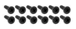 CA Taillight Lens Screws for 1970-1973 CORVETTE - K1001