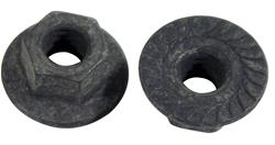 CA Nuts K1395