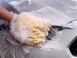 WeatherTech Wash Mitts 8BMITT1