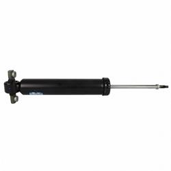 Motorcraft Shocks and Struts for 2015-2023 MUSTANG - FR3Z18125X