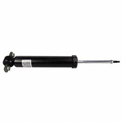 Motorcraft Shocks and Struts for 2015-2019 MUSTANG - FR3Z18125Y