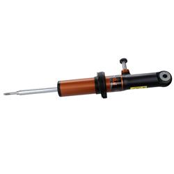 Motorcraft Shocks and Struts for 2021-2022 F-150 - ML3Z18124AW