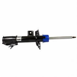 Motorcraft Shocks and Struts G2GZ18124G