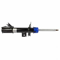 Motorcraft Shocks and Struts G2GZ18124P