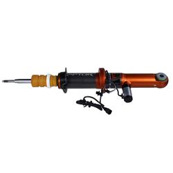 Motorcraft Shocks and Struts for 2019-2020 F-150 - LL3Z18124G