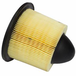 Motorcraft Air Filter Elements F5OZ9601BA