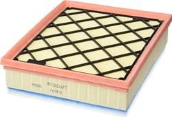 Motorcraft Air Filter Elements DS7Z9601D
