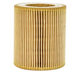 Motorcraft Air Filter Elements for 2016-2019 F-650, F-750 - FC4Z2W875B