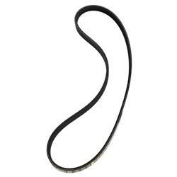 Motorcraft Accessory Belts for 2023-2024 CORSAIR, ESCAPE - PZ1Z8620B