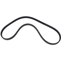 Motorcraft Accessory Belts JX6Z8620H