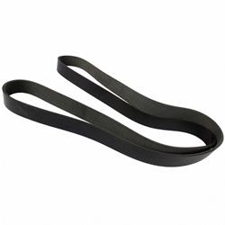 Motorcraft Accessory Belts for 2005-2006 GT - 4G7Z8620AA