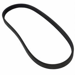 Motorcraft Accessory Belts for 2018-2022 ECOSPORT, 2014-2018 FOCUS - EM5Z8620A