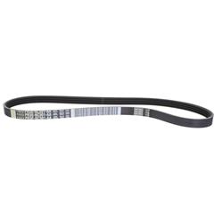 Motorcraft Accessory Belts for 2024 MUSTANG - PR3Z8620B